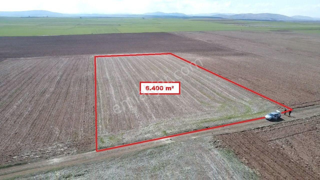 Kütahya Altıntaş Aydınlar' Da 6400 M2 Satılık Tarla - Görsel 7