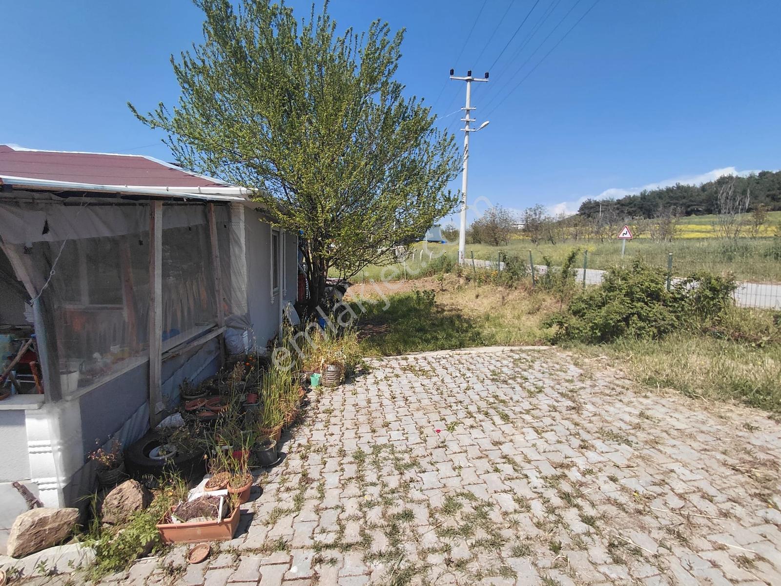 Geyve Çamlıkta 690 M2 Arsa İçerisinde Satılık Tek Katlı Mülk - Görsel 15