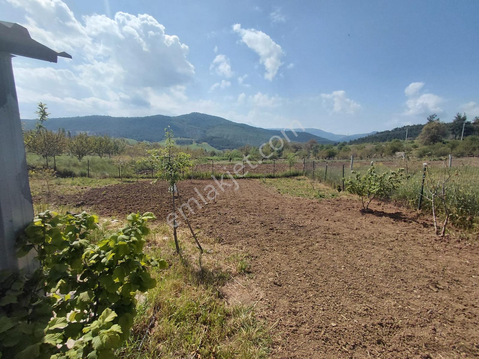 Geyve Çamlıkta 690 M2 Arsa İçerisinde Satılık Tek Katlı Mülk - Görsel 19