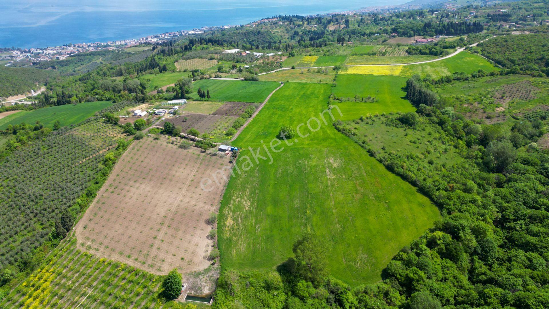 Uzmanlar'dan Karamürsel Dereköy 36.802 M2 %5 İmarlı Satılık Tarla - Görsel 9
