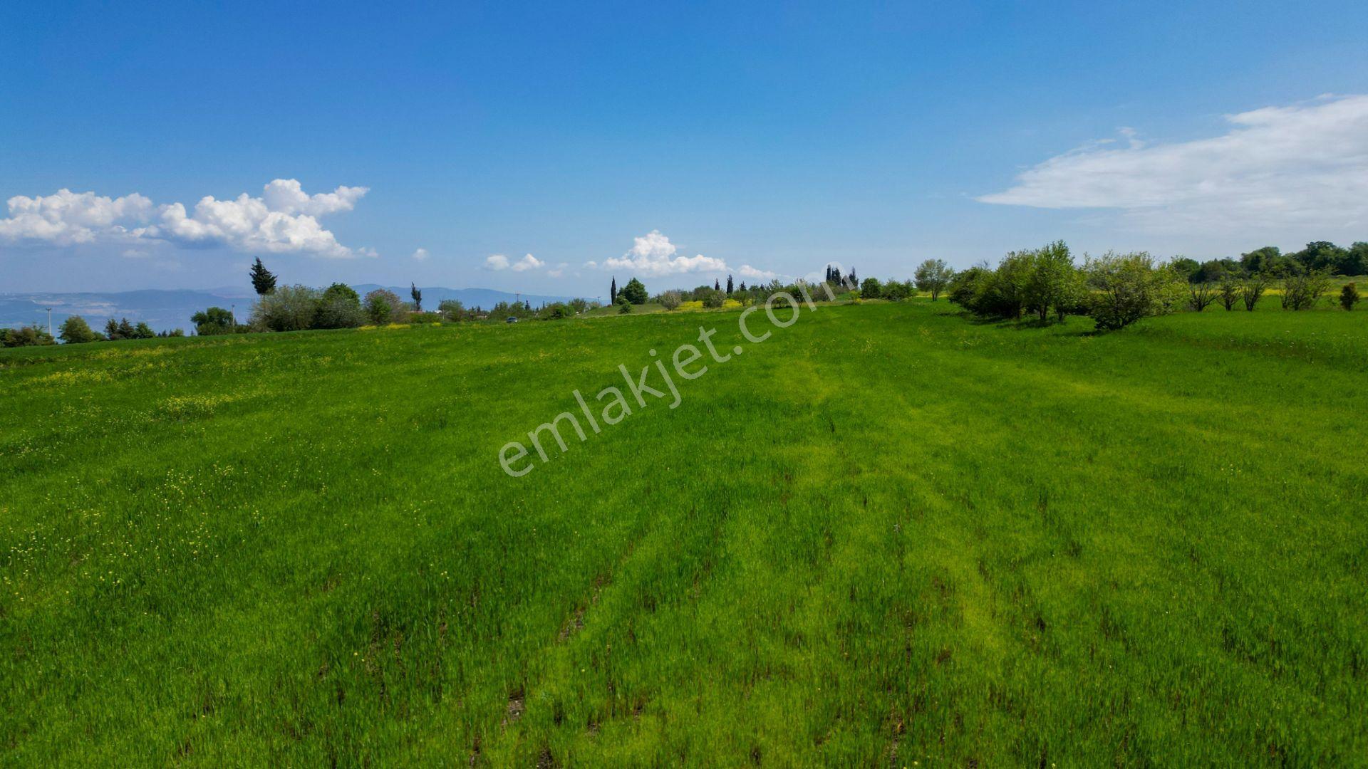 Uzmanlar'dan Karamürsel Dereköy 36.802 M2 %5 İmarlı Satılık Tarla - Görsel 13