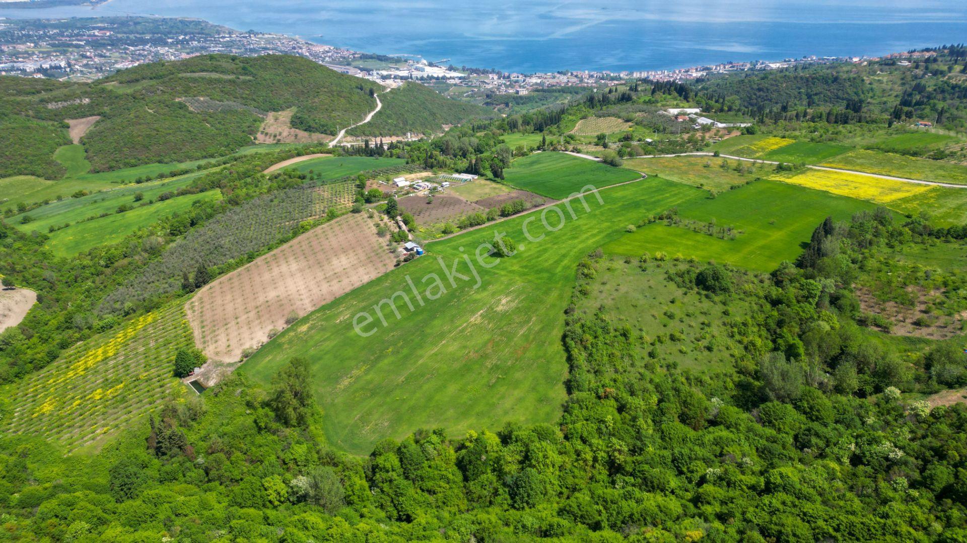 Uzmanlar'dan Karamürsel Dereköy 36.802 M2 %5 İmarlı Satılık Tarla - Görsel 7