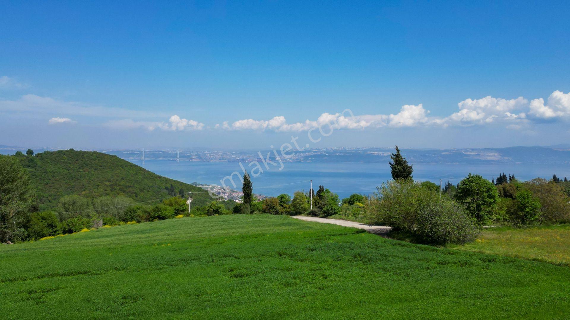 Uzmanlar'dan Karamürsel Dereköy 36.802 M2 %5 İmarlı Satılık Tarla - Görsel 18