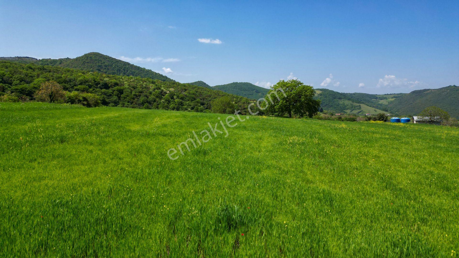 Uzmanlar'dan Karamürsel Dereköy 36.802 M2 %5 İmarlı Satılık Tarla - Görsel 15