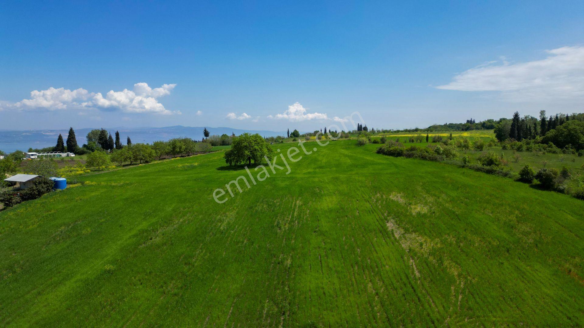 Uzmanlar'dan Karamürsel Dereköy 36.802 M2 %5 İmarlı Satılık Tarla - Görsel 11