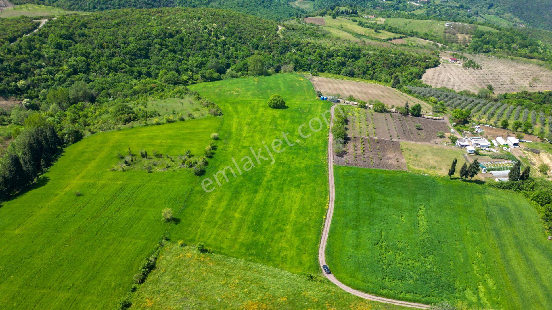 Uzmanlar'dan Karamürsel Dereköy 36.802 M2 %5 İmarlı Satılık Tarla - Görsel 2