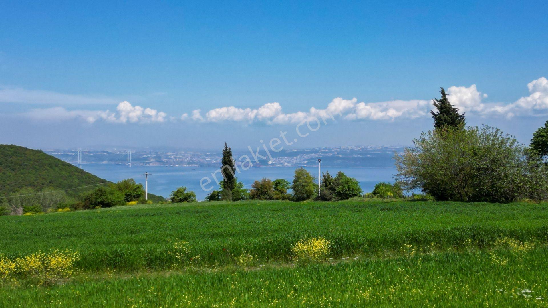 Uzmanlar'dan Karamürsel Dereköy 36.802 M2 %5 İmarlı Satılık Tarla - Görsel 17