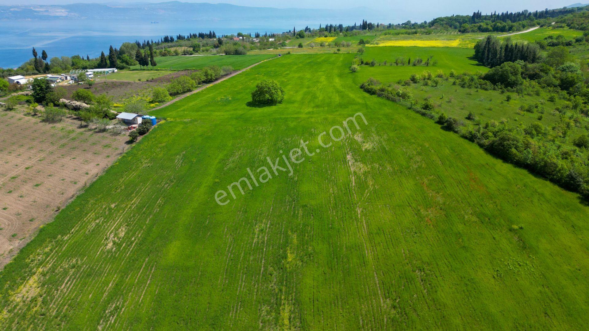 Uzmanlar'dan Karamürsel Dereköy 36.802 M2 %5 İmarlı Satılık Tarla - Görsel 10