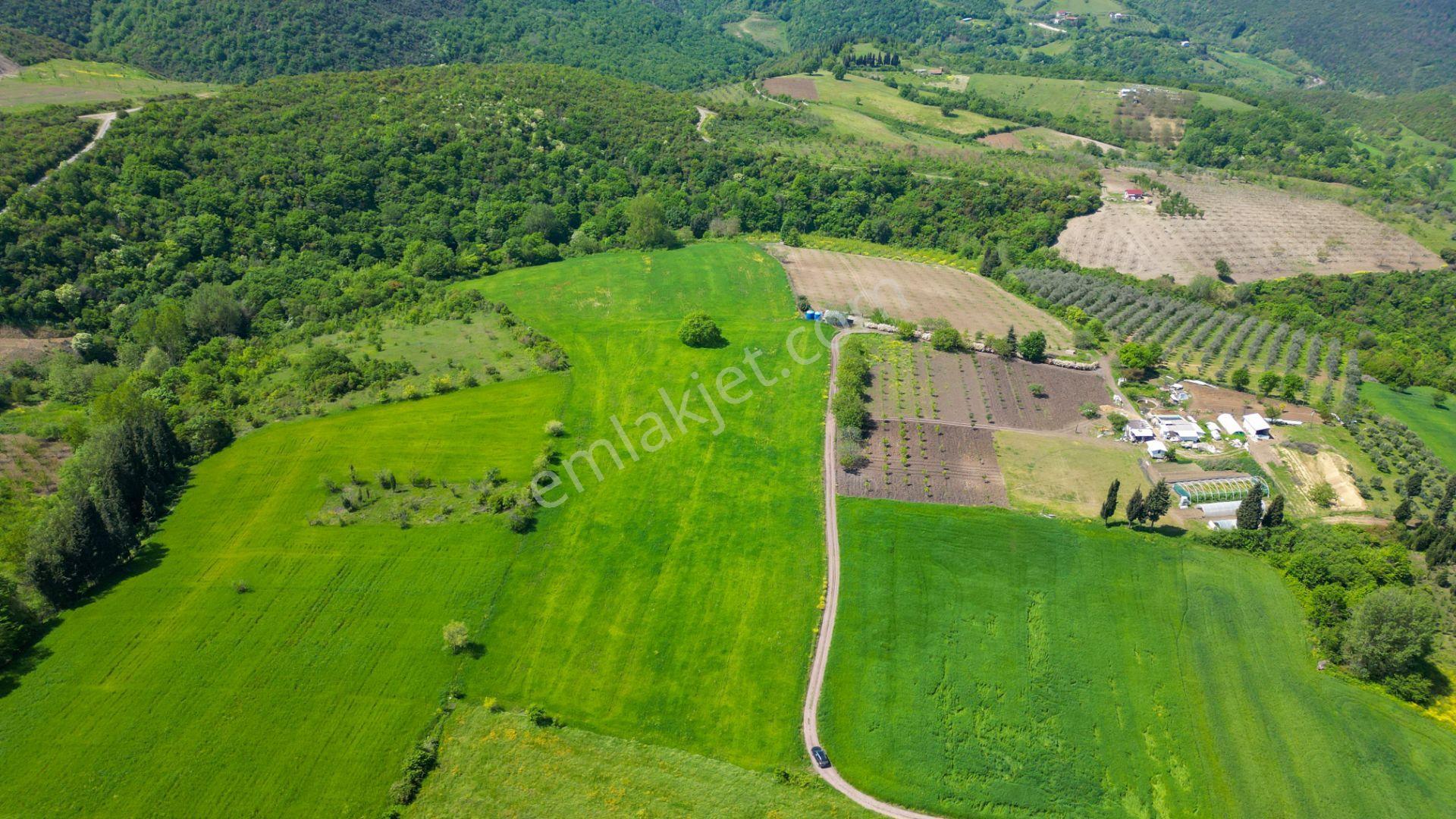 Uzmanlar'dan Karamürsel Dereköy 36.802 M2 %5 İmarlı Satılık Tarla - Görsel 3