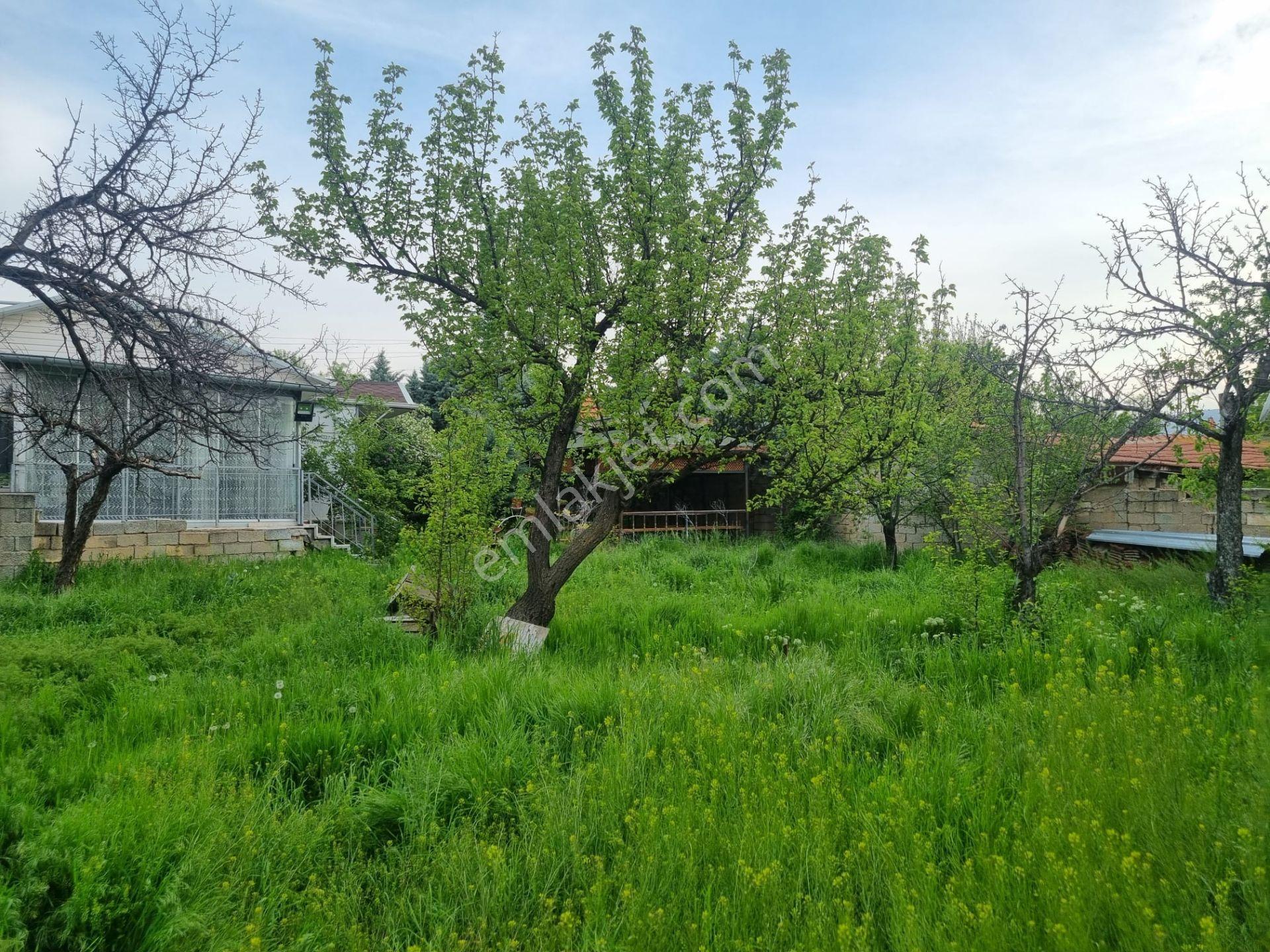 Meram'ın Kalbinde Bir Rüya ! 2682 M2 Müstakil Hayalinizdeki Arsa - Görsel 14