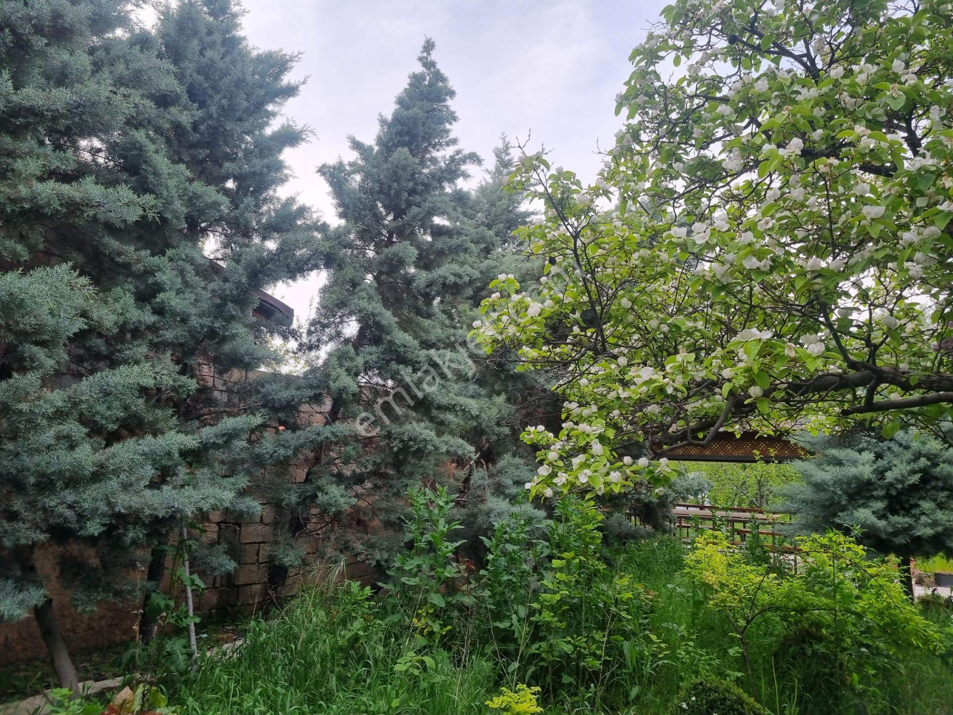 Meram'ın Kalbinde Bir Rüya ! 2682 M2 Müstakil Hayalinizdeki Arsa - Görsel 2