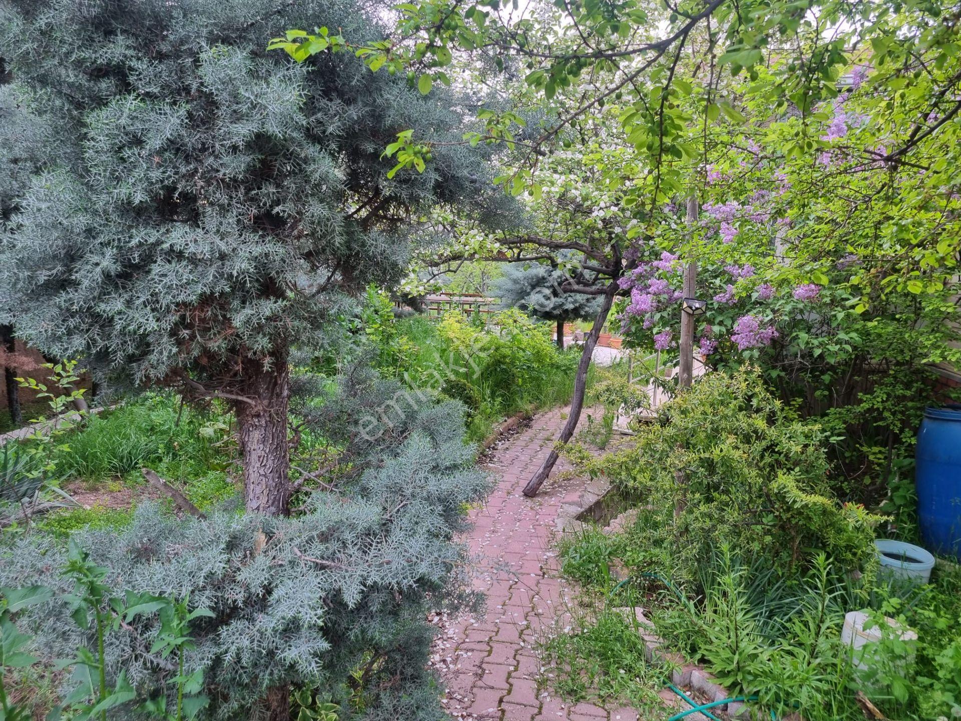 Meram'ın Kalbinde Bir Rüya ! 2682 M2 Müstakil Hayalinizdeki Arsa - Görsel 7