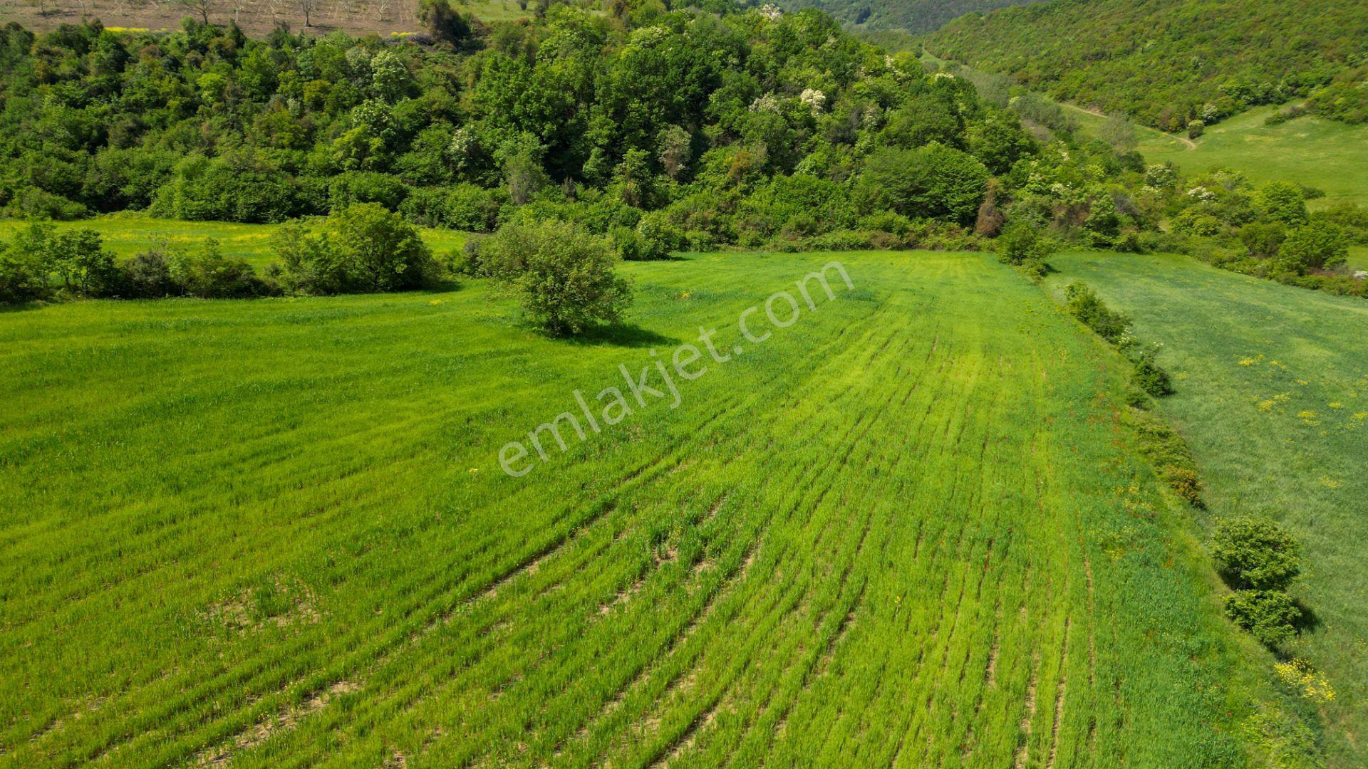 Kocaeli Karamürsel Dereköy 10.538 M2 %5 İmarlı Satılık Tarla - Görsel 9