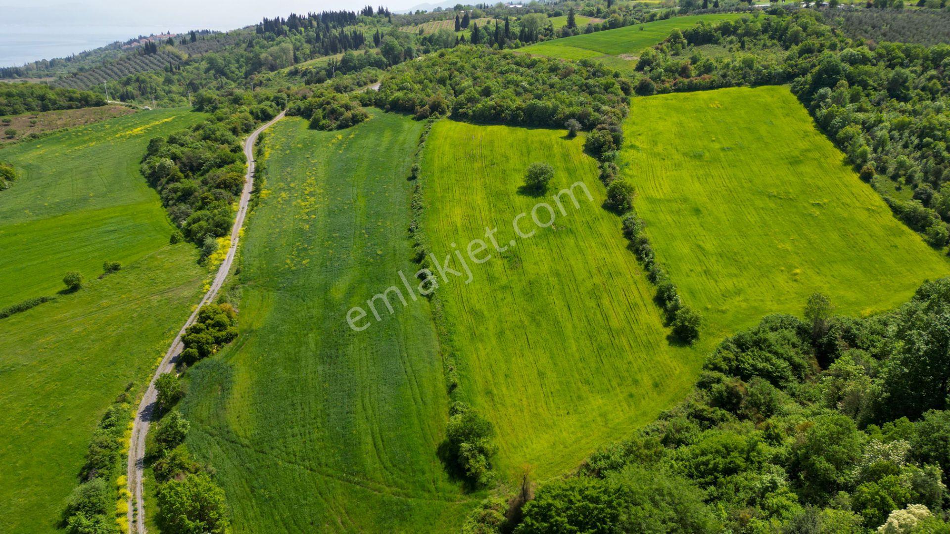 Kocaeli Karamürsel Dereköy 10.538 M2 %5 İmarlı Satılık Tarla - Görsel 5