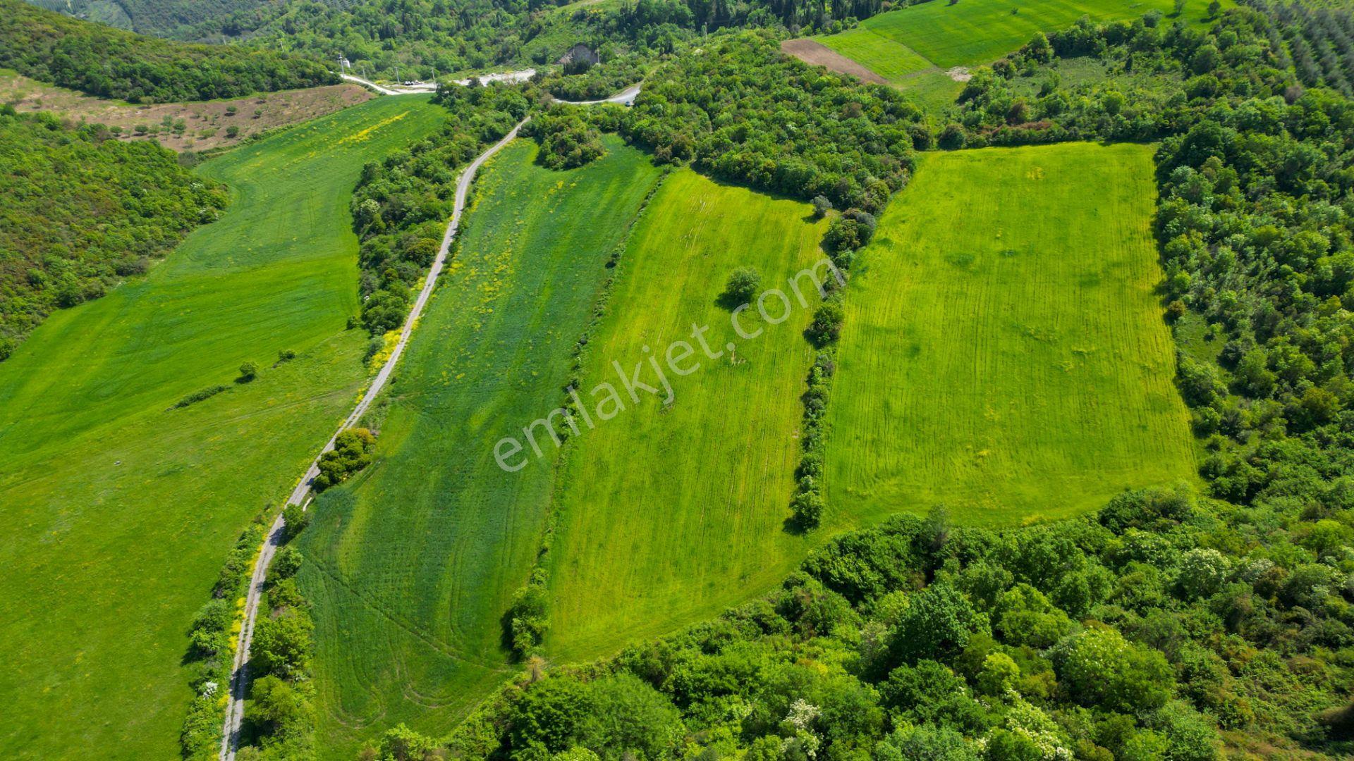 Kocaeli Karamürsel Dereköy 10.538 M2 %5 İmarlı Satılık Tarla - Görsel 4