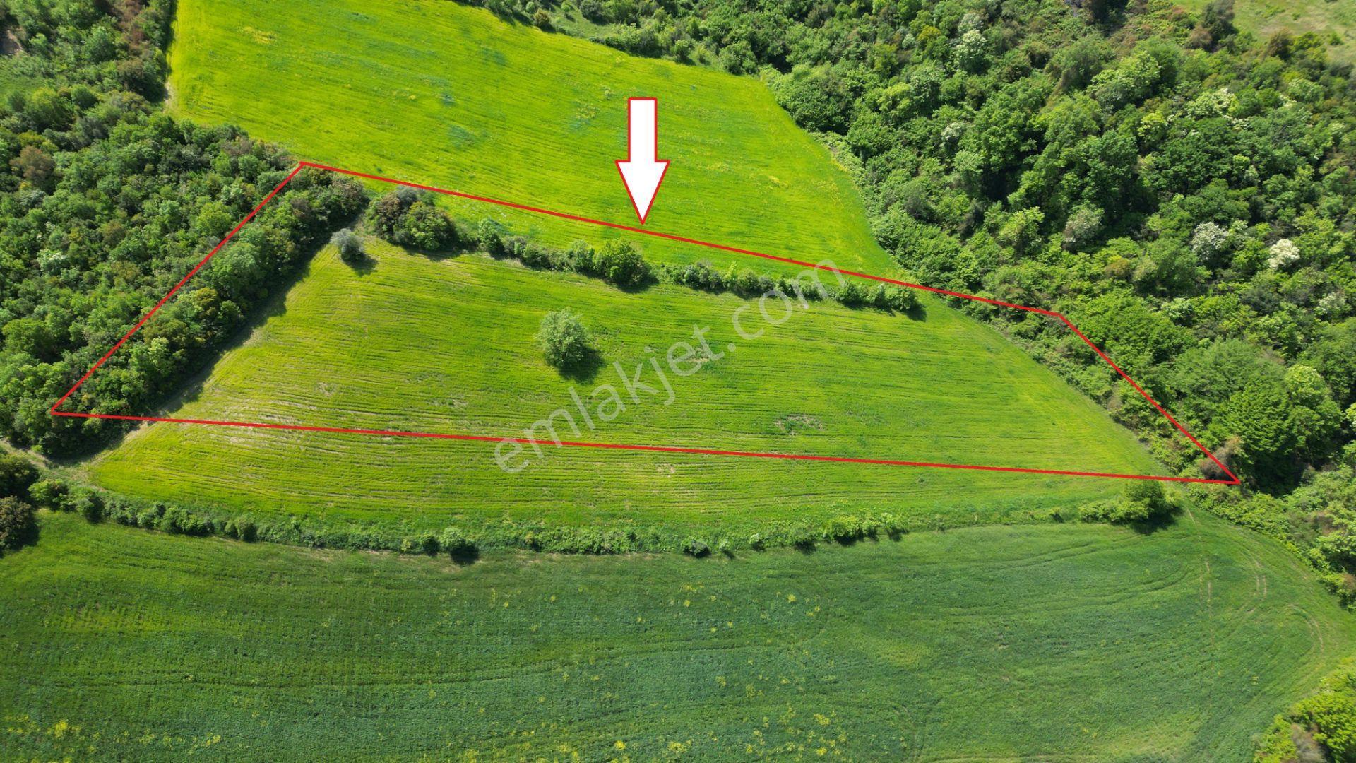 Kocaeli Karamürsel Dereköy 10.538 M2 %5 İmarlı Satılık Tarla