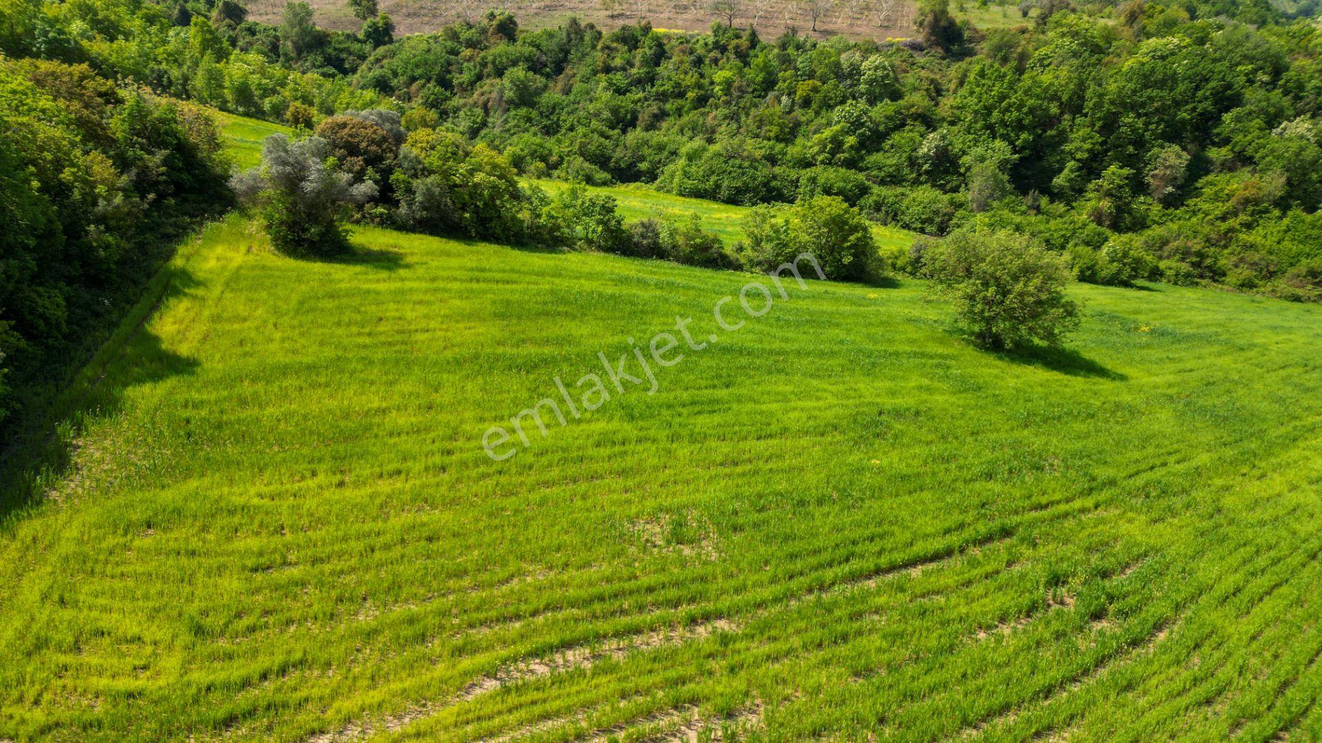 Kocaeli Karamürsel Dereköy 10.538 M2 %5 İmarlı Satılık Tarla - Görsel 10