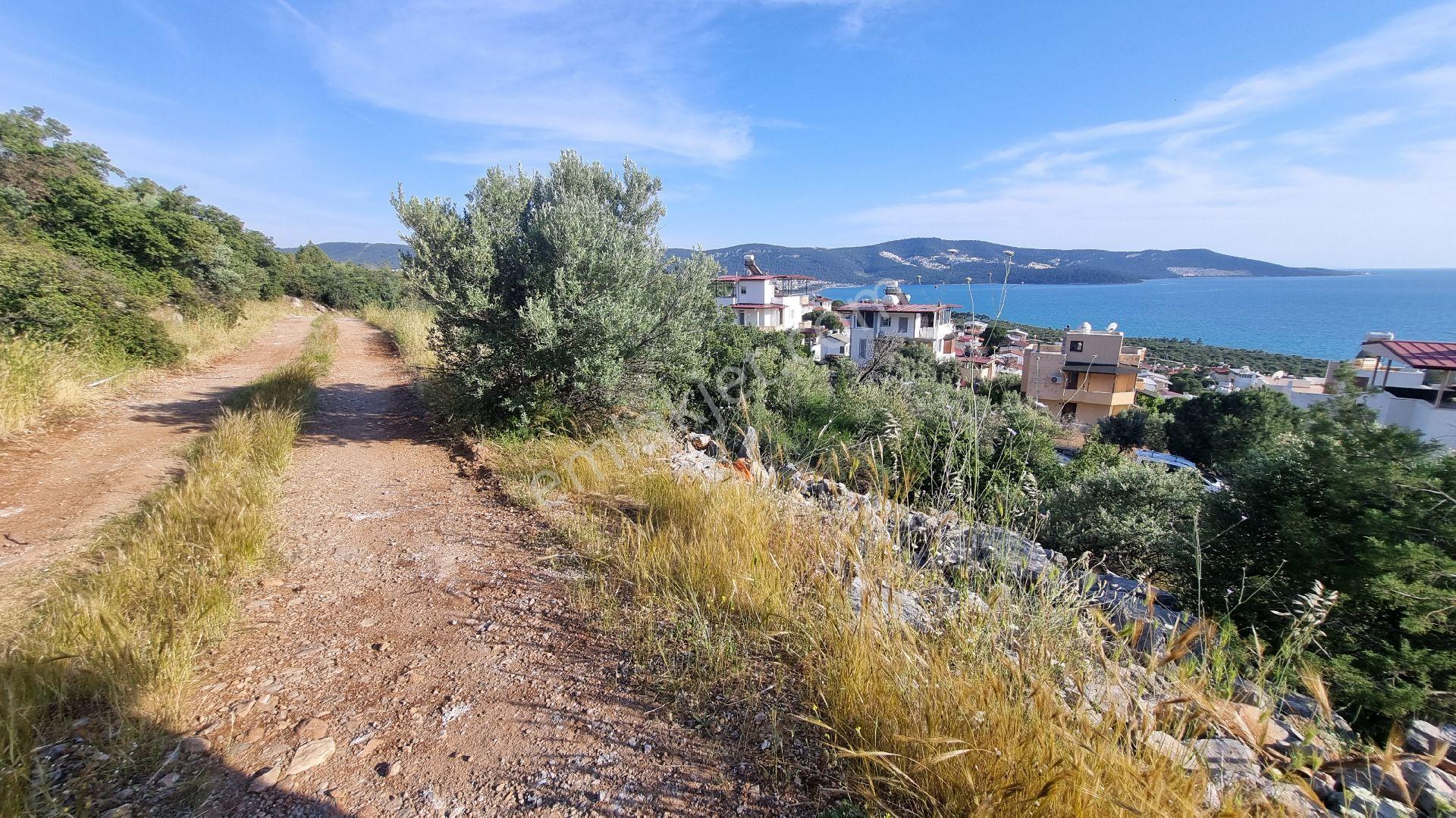 Didim Akbük 522 M2 Arsa - Görsel 4