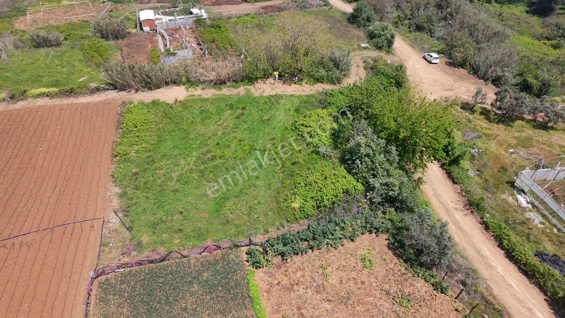 Balıkesir Bandırma Sahil Yenice Mah. 914 M2 Satılık Tarla Merkezi Konumda Yatırımlık - Görsel 7