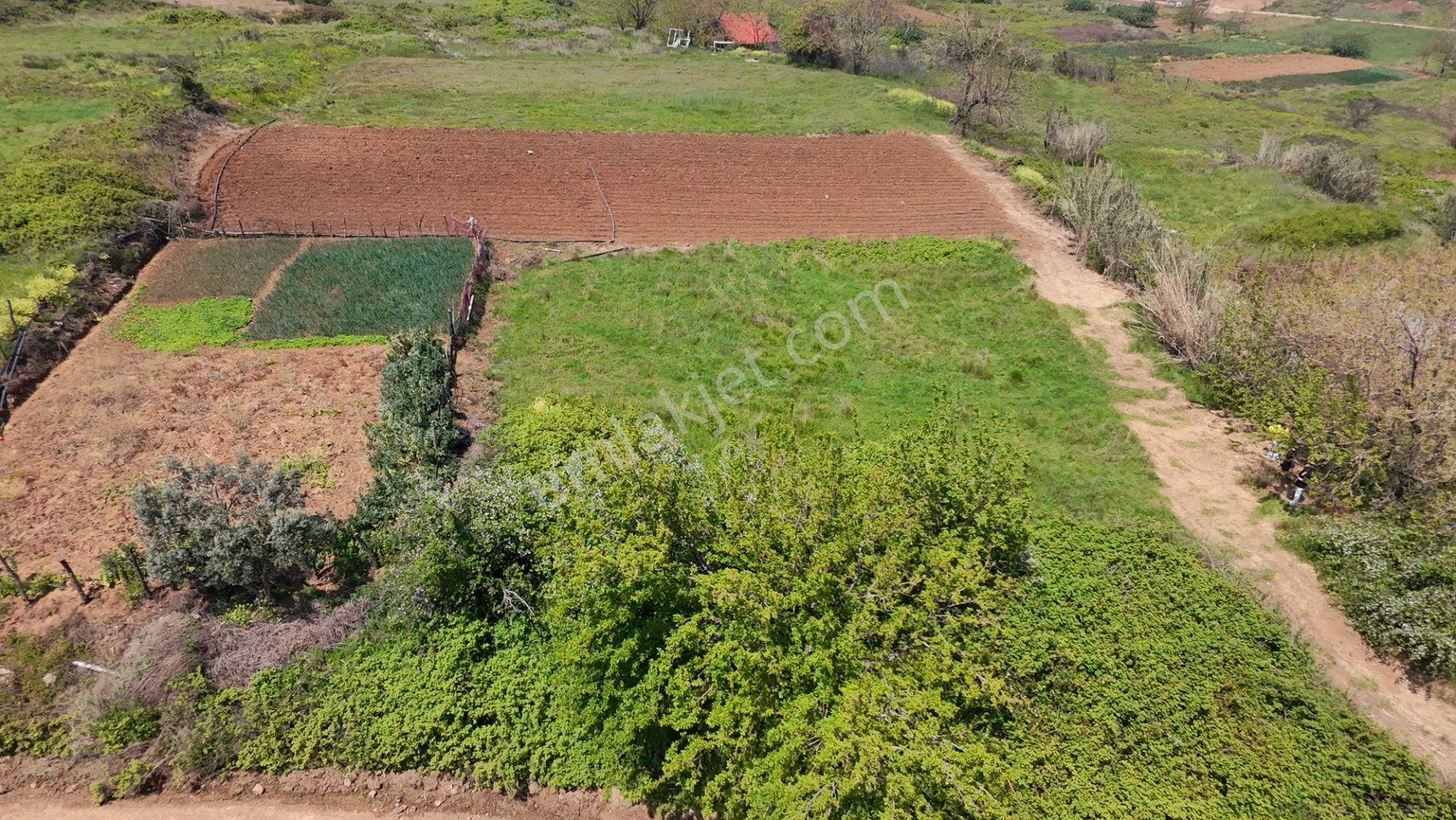 Balıkesir Bandırma Sahil Yenice Mah. 914 M2 Satılık Tarla Merkezi Konumda Yatırımlık - Görsel 5