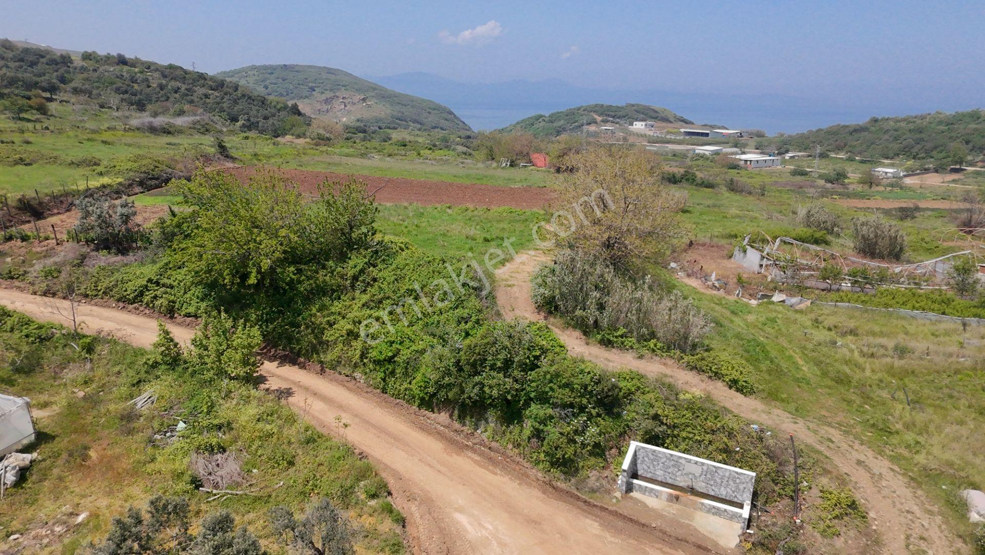 Balıkesir Bandırma Sahil Yenice Mah. 914 M2 Satılık Tarla Merkezi Konumda Yatırımlık - Görsel 3