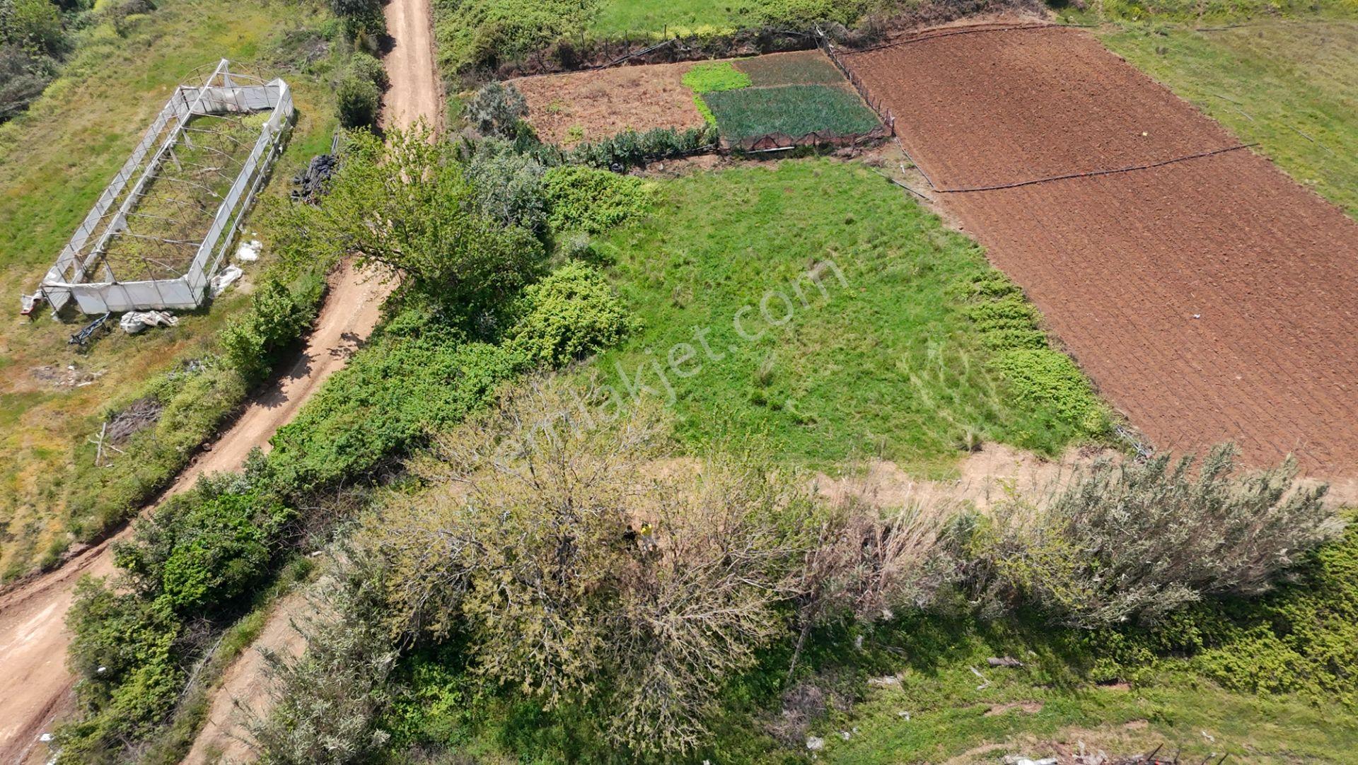 Balıkesir Bandırma Sahil Yenice Mah. 914 M2 Satılık Tarla Merkezi Konumda Yatırımlık - Görsel 8