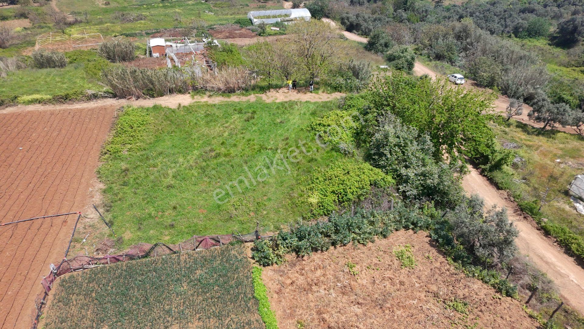 Balıkesir Bandırma Sahil Yenice Mah. 914 M2 Satılık Tarla Merkezi Konumda Yatırımlık - Görsel 6