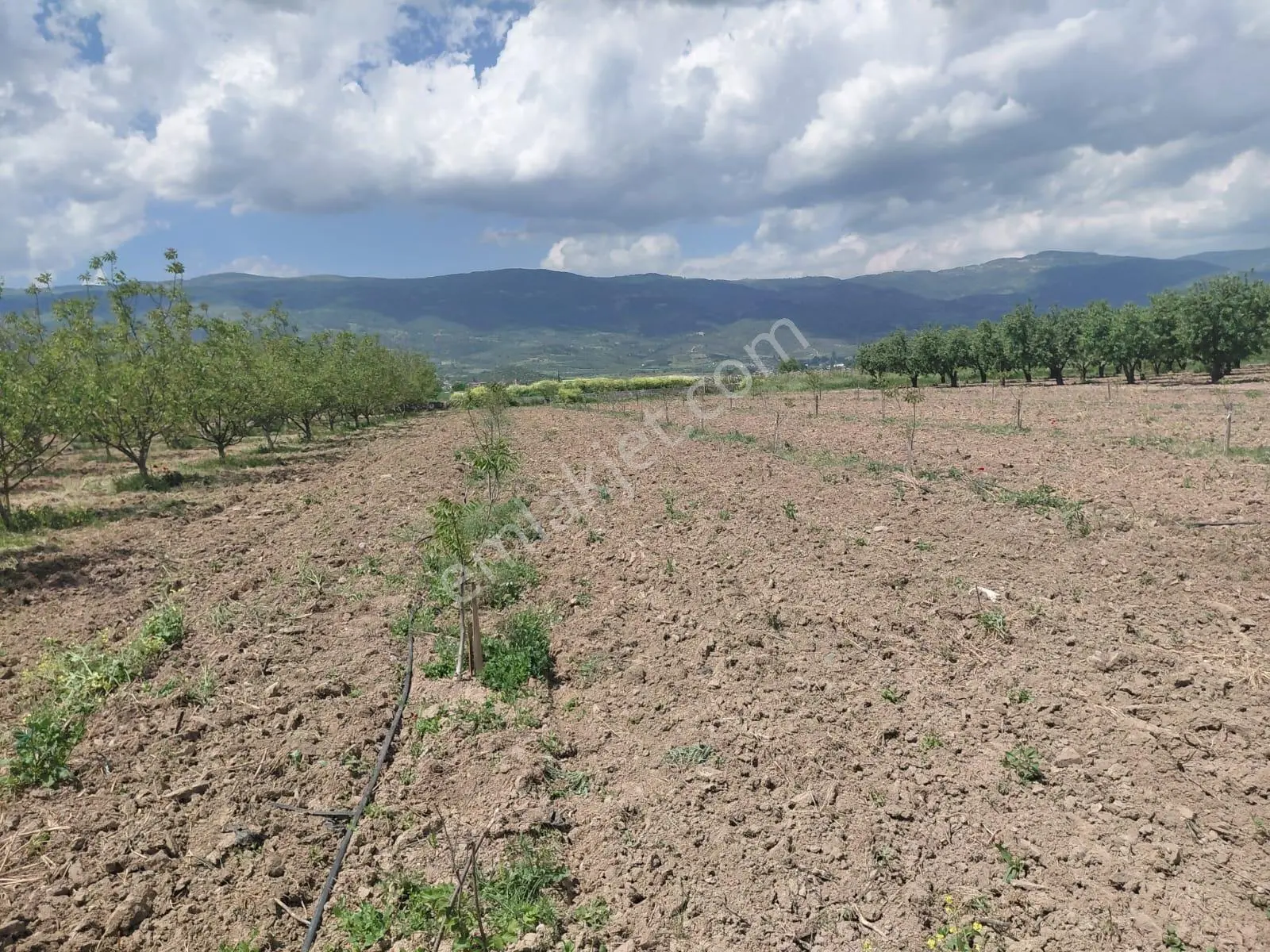 Pamukova Şeyhvarmazda Çift Yol Cepheli Satılık Bahçe - Görsel 23