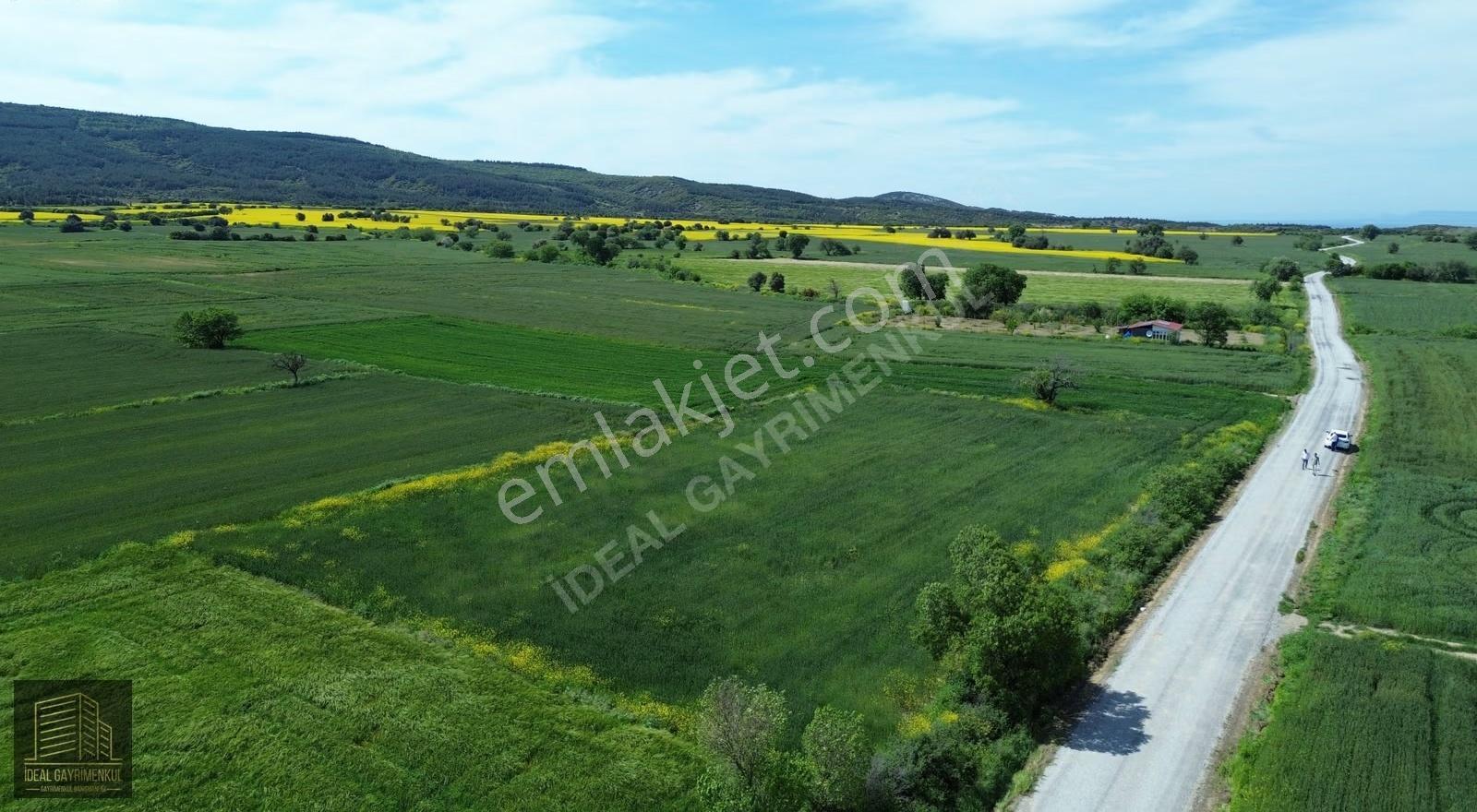 Eceabat Beşyolda Ana Yola Cepheli 3.329 M2 Fırsat Arazi - Görsel 27