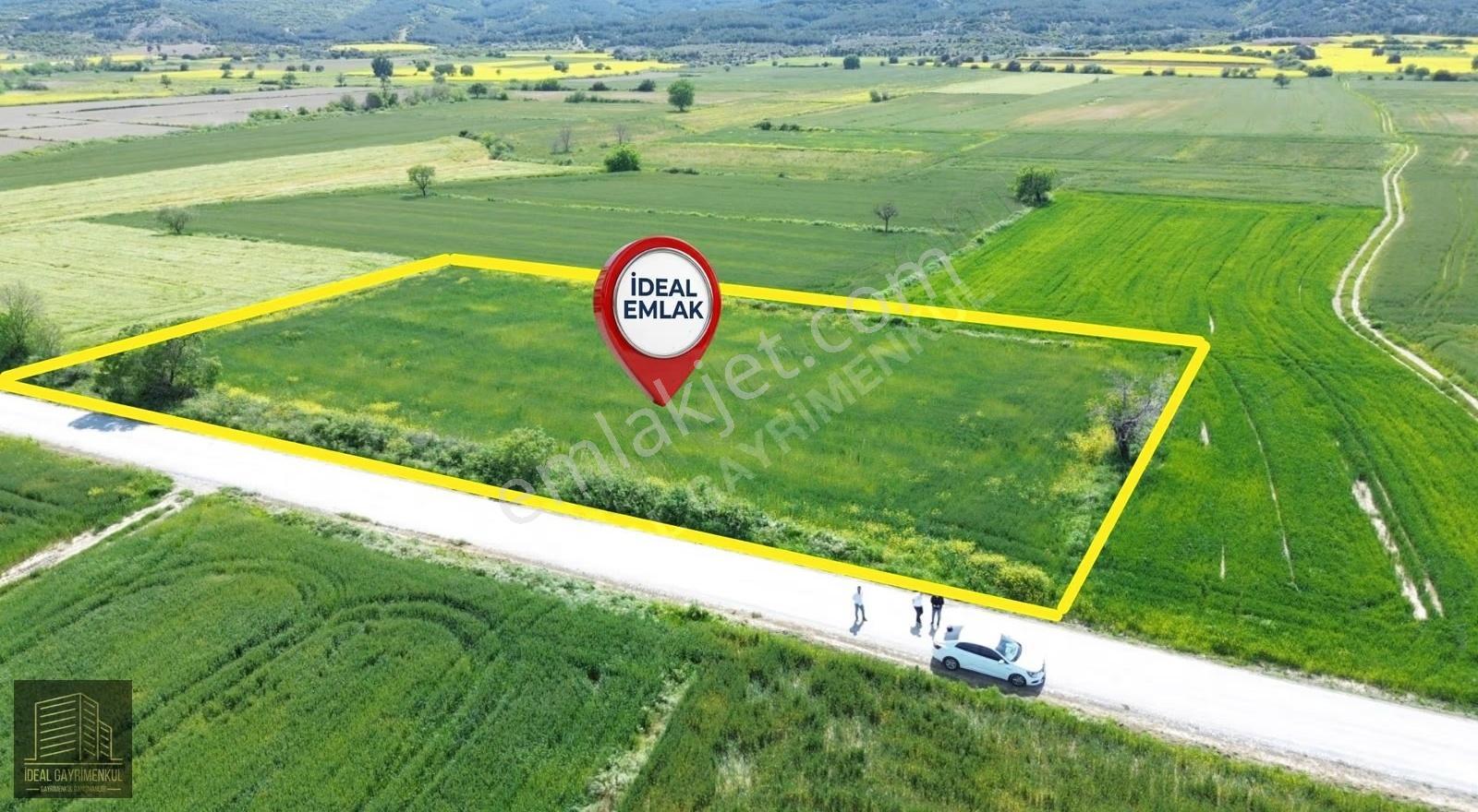 Eceabat Beşyolda Ana Yola Cepheli 3.329 M2 Fırsat Arazi - Görsel 12
