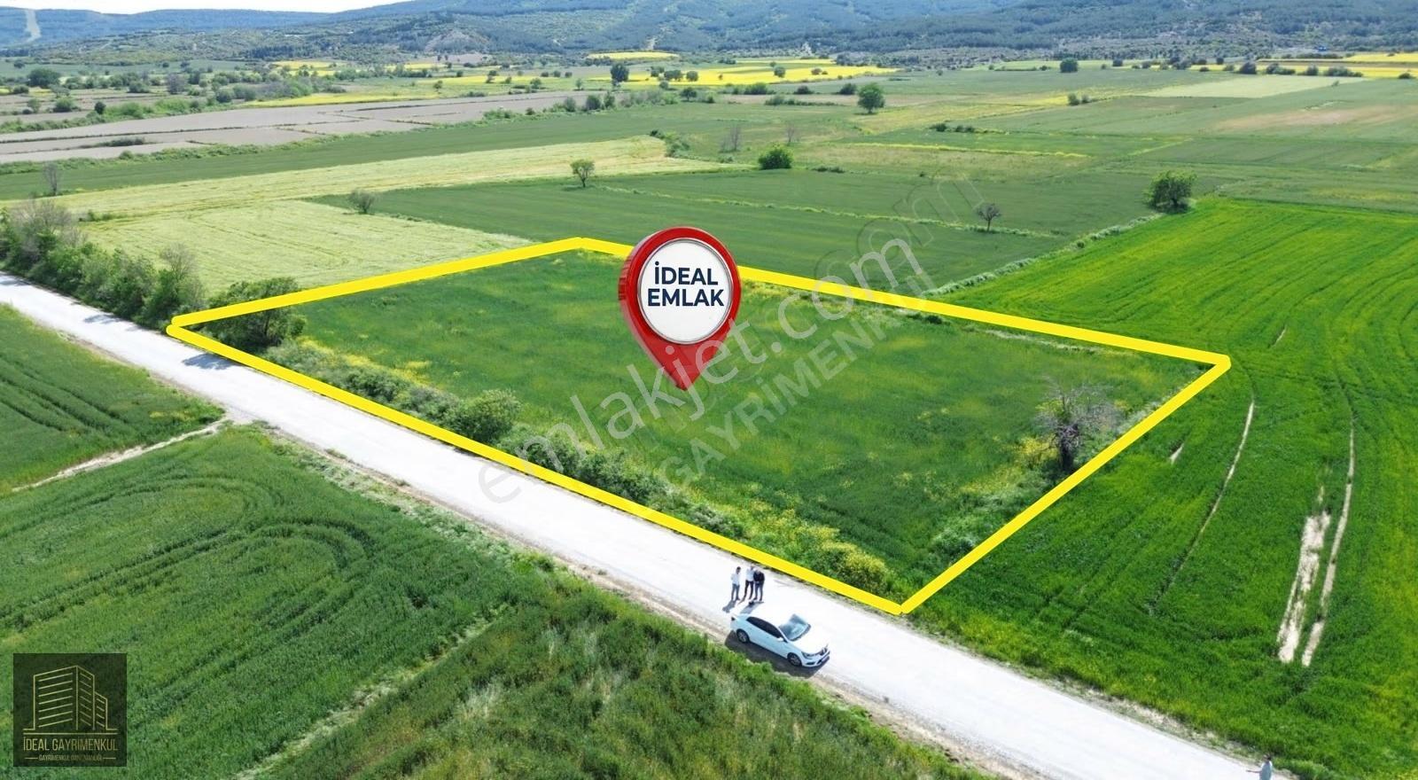 Eceabat Beşyolda Ana Yola Cepheli 3.329 M2 Fırsat Arazi - Görsel 14