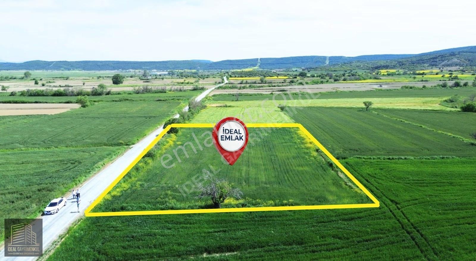 Eceabat Beşyolda Ana Yola Cepheli 3.329 M2 Fırsat Arazi - Görsel 20
