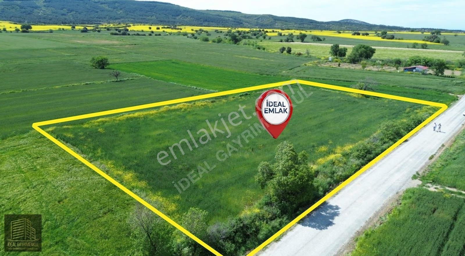 Eceabat Beşyolda Ana Yola Cepheli 3.329 M2 Fırsat Arazi - Görsel 11
