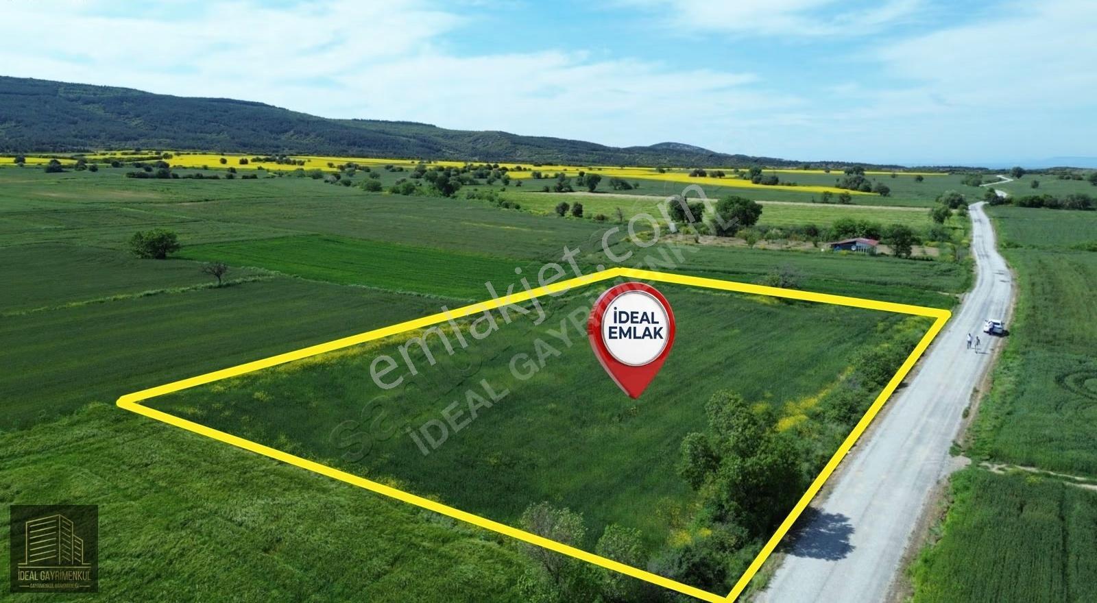 Eceabat Beşyolda Ana Yola Cepheli 3.329 M2 Fırsat Arazi - Görsel 2