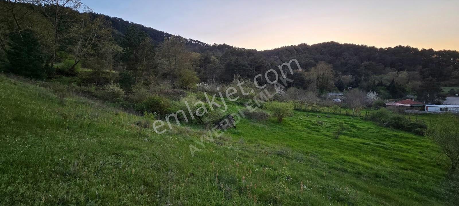 Sındırgı 3.689 M² Satılık Arazi -çevresinde Yazlıklar Mevcut - Görsel 12