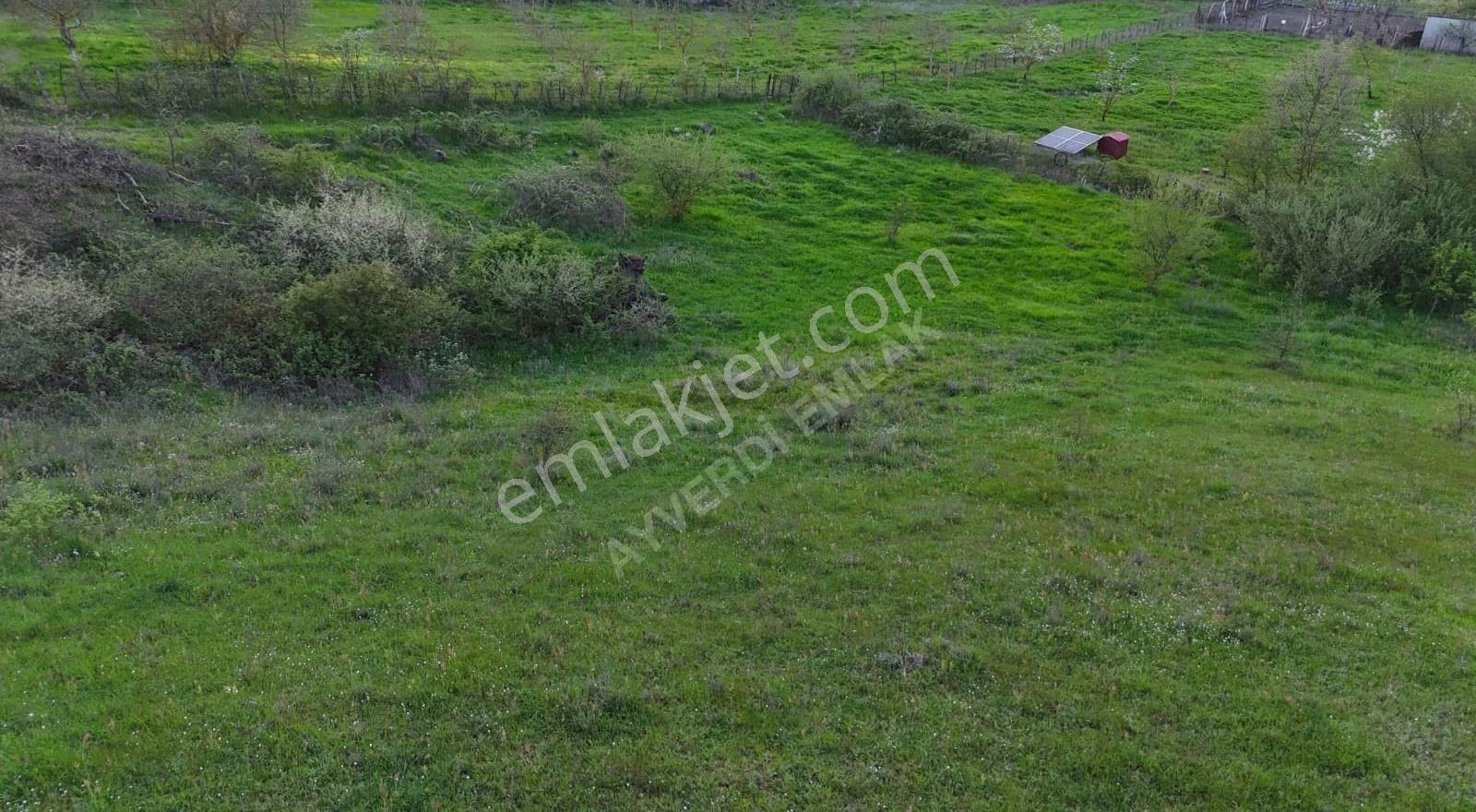 Sındırgı 3.689 M² Satılık Arazi -çevresinde Yazlıklar Mevcut - Görsel 4