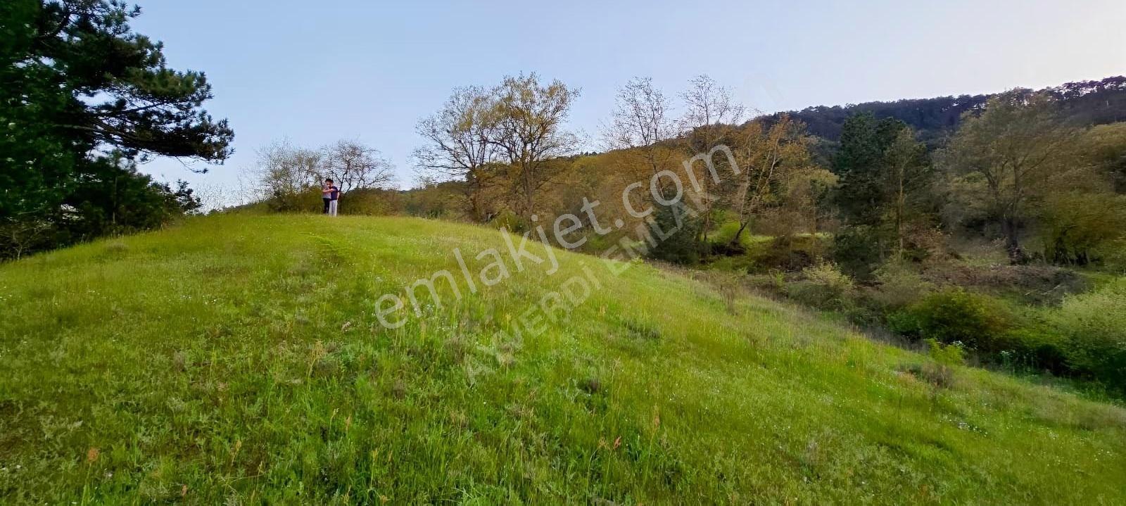 Sındırgı 3.689 M² Satılık Arazi -çevresinde Yazlıklar Mevcut - Görsel 14