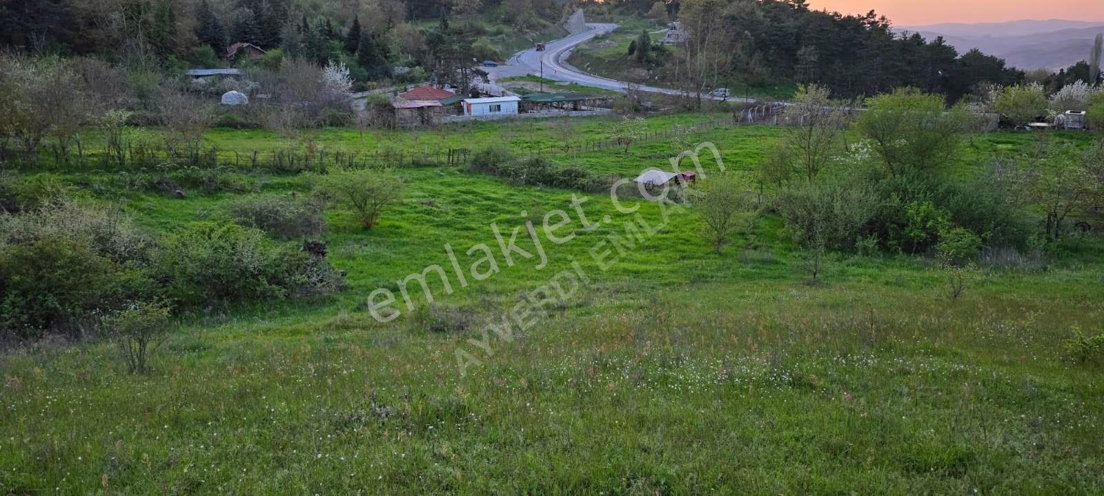 Sındırgı 3.689 M² Satılık Arazi -çevresinde Yazlıklar Mevcut