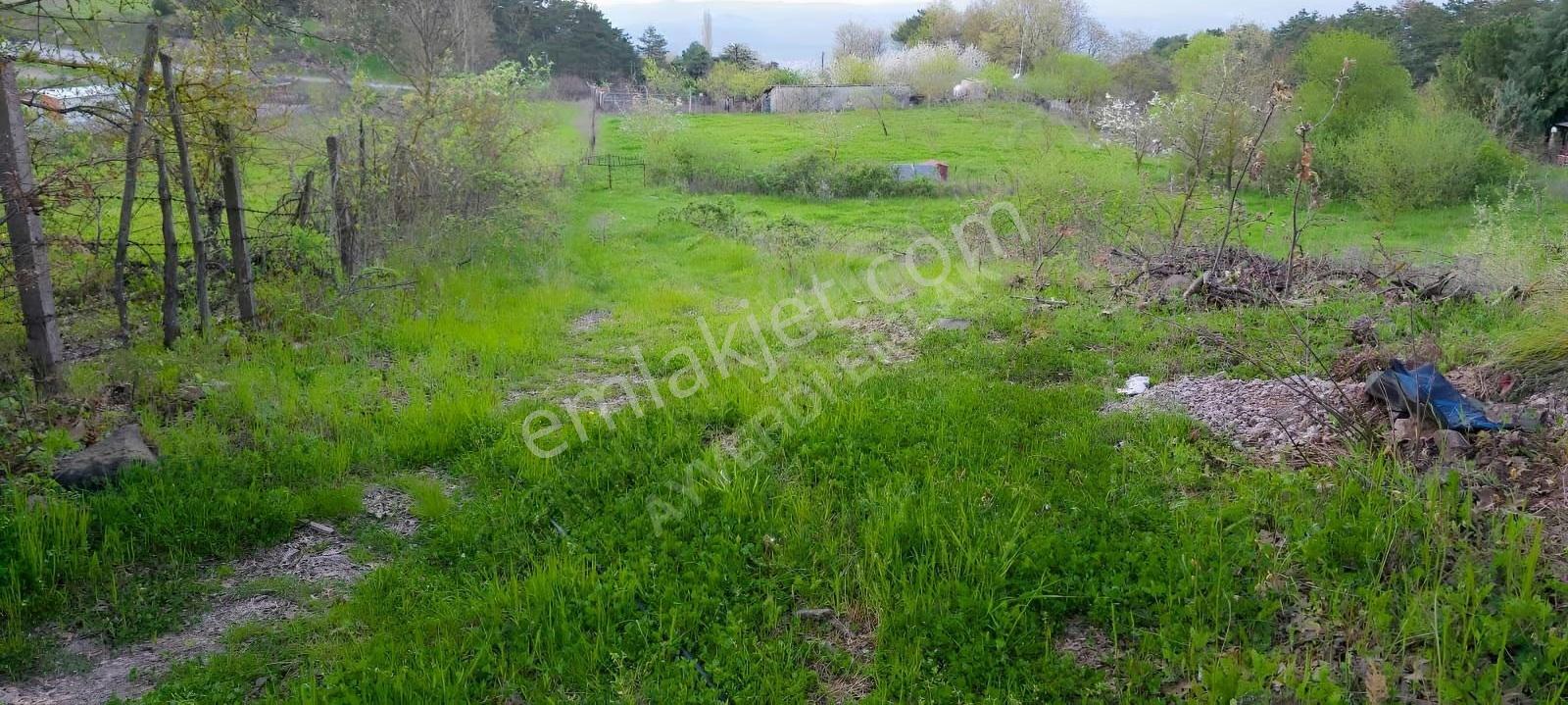 Sındırgı 3.689 M² Satılık Arazi -çevresinde Yazlıklar Mevcut - Görsel 8