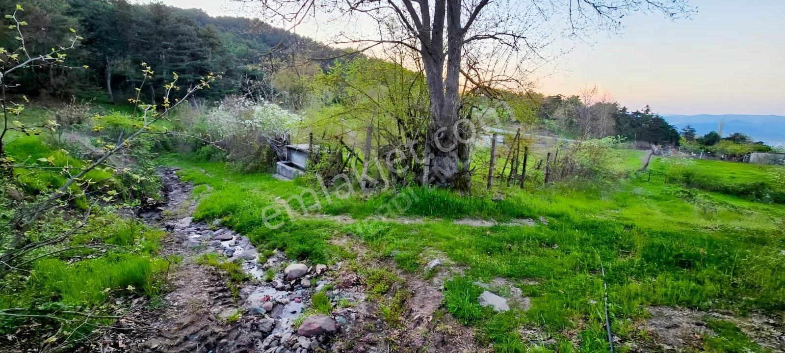 Sındırgı 3.689 M² Satılık Arazi -çevresinde Yazlıklar Mevcut - Görsel 9