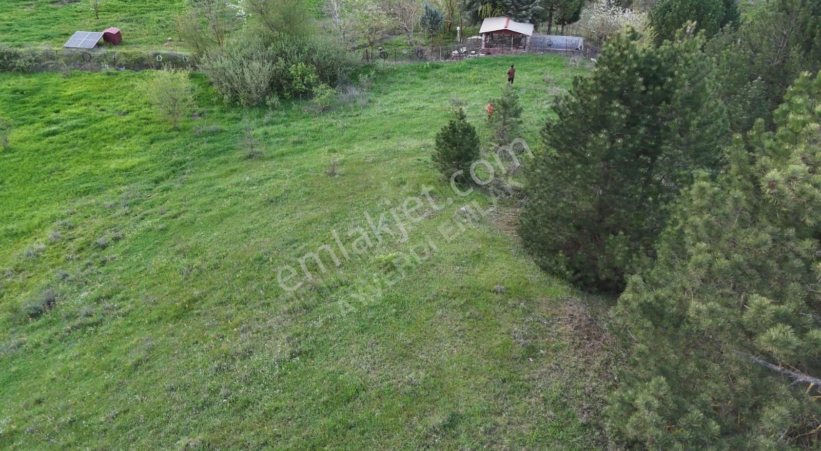 Sındırgı 3.689 M² Satılık Arazi -çevresinde Yazlıklar Mevcut - Görsel 6