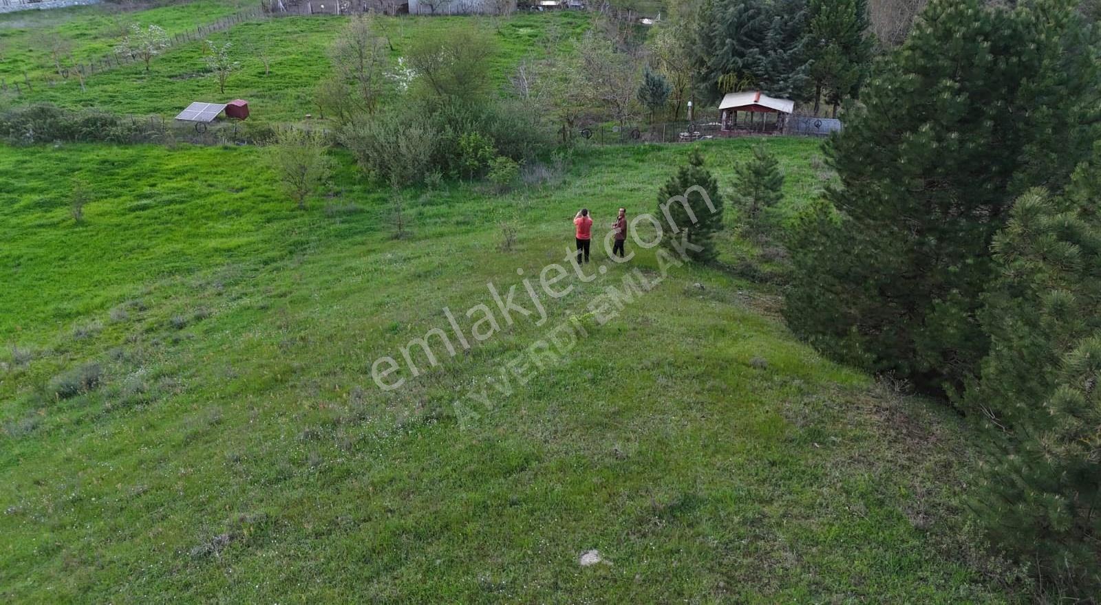 Sındırgı 3.689 M² Satılık Arazi -çevresinde Yazlıklar Mevcut - Görsel 7