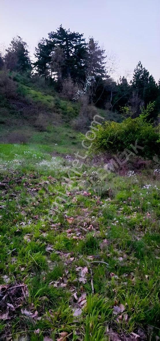 Sındırgı Kertil'de 17.262 M² Yatırımlık Tarla - Görsel 3