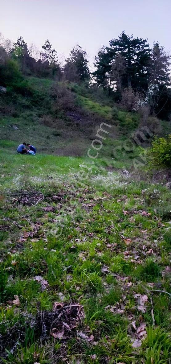 Sındırgı Kertil'de 17.262 M² Yatırımlık Tarla - Görsel 5
