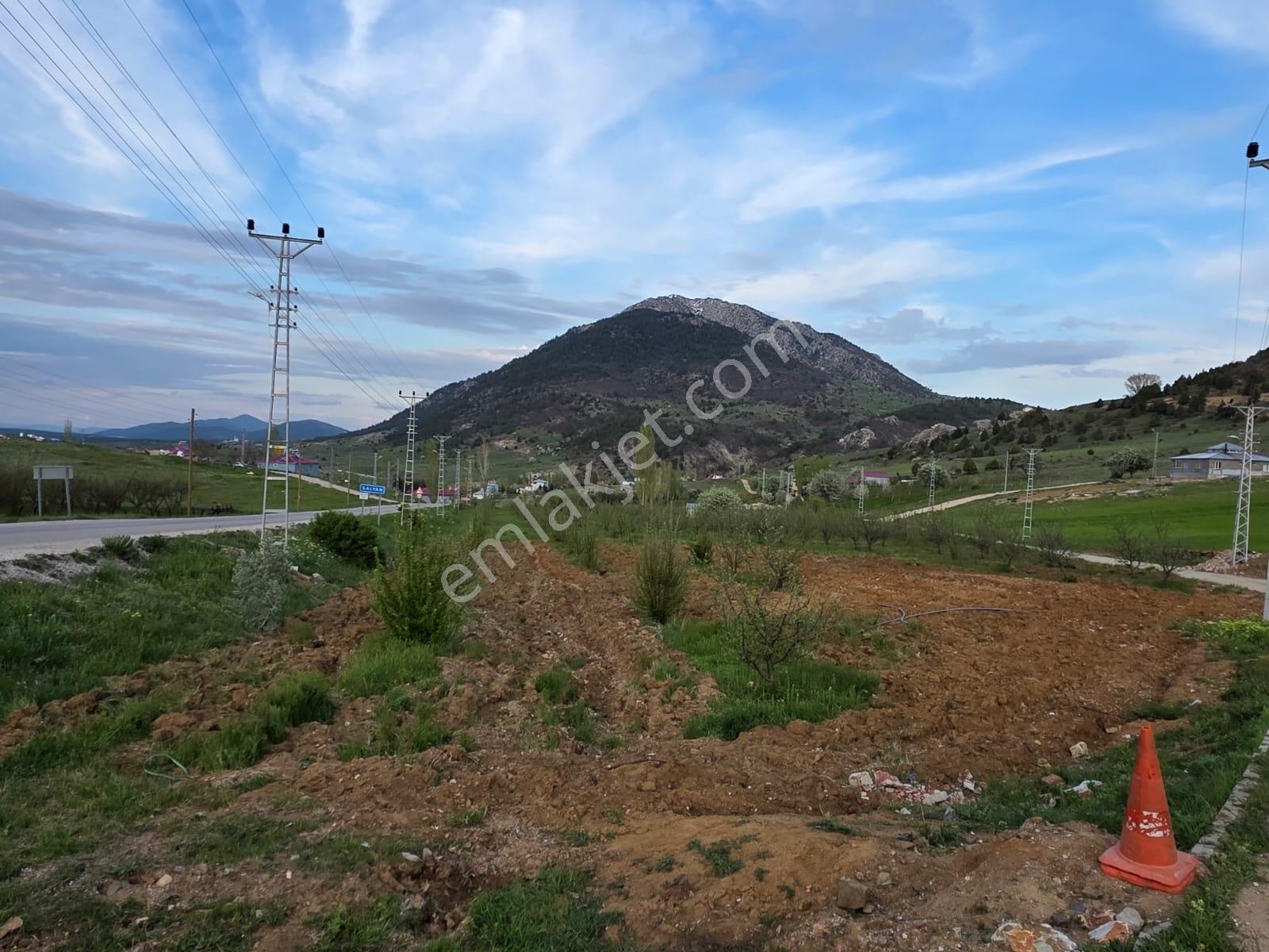 Tok Emlak'tan Kale Mahallesinde Satılık Arazi - Görsel 14