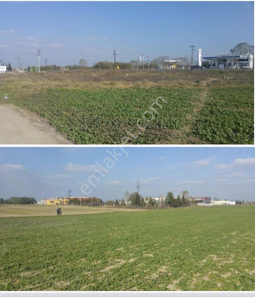Tekirdağ / Muratlı / Aşağısevindikli / 16.345 M2 / Osb - Görsel 2