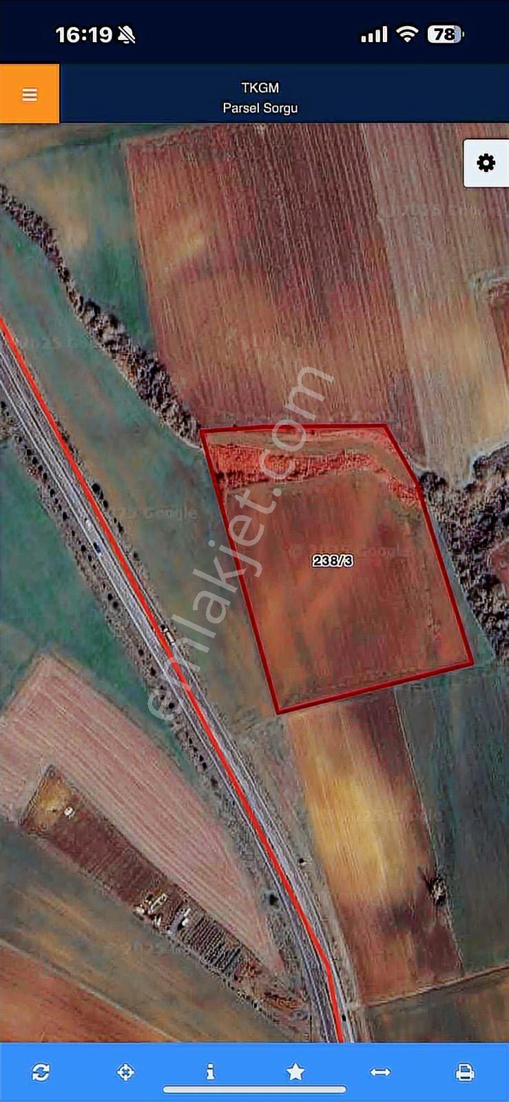 Tekirdağ / Muratlı / Muradiye / Ana Yola 2. Parsel / Satılık - Görsel 3