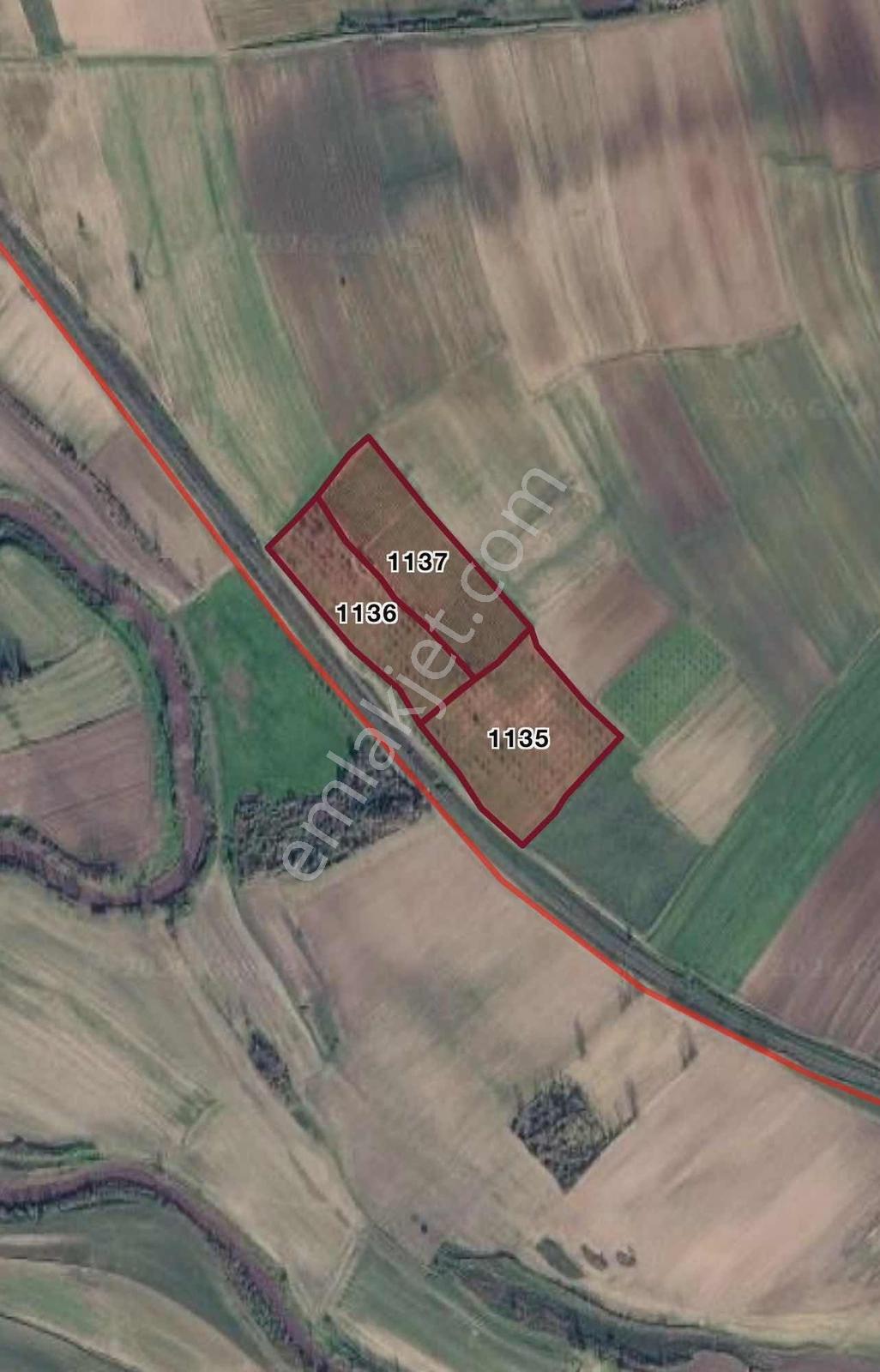 Kırklareli / Lüleburgaz / Çiftlikköy / Üzüm Bağı - Görsel 2