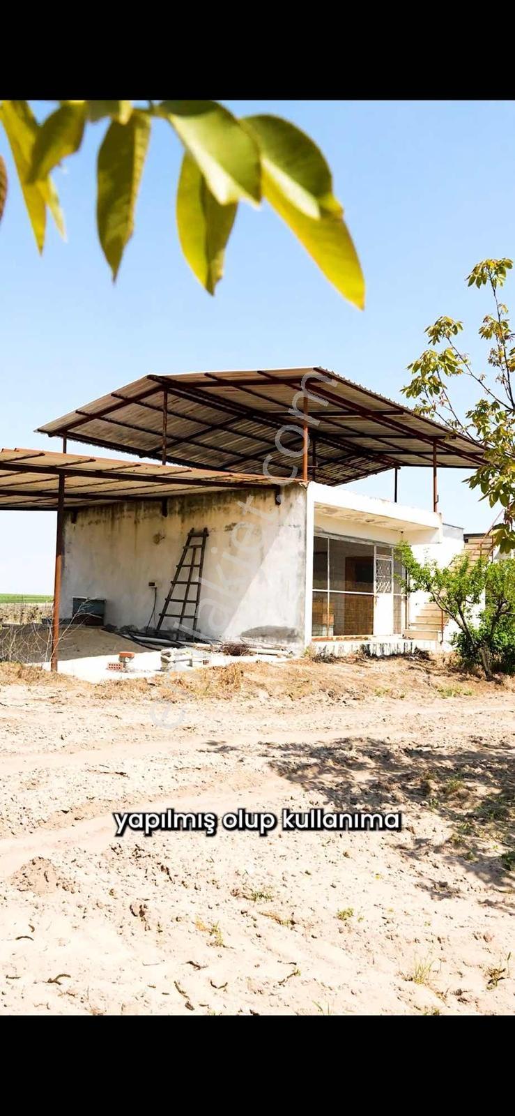 Kırklareli / Lüleburgaz / Çiftlikköy / Ceviz Bahçesi - Görsel 10