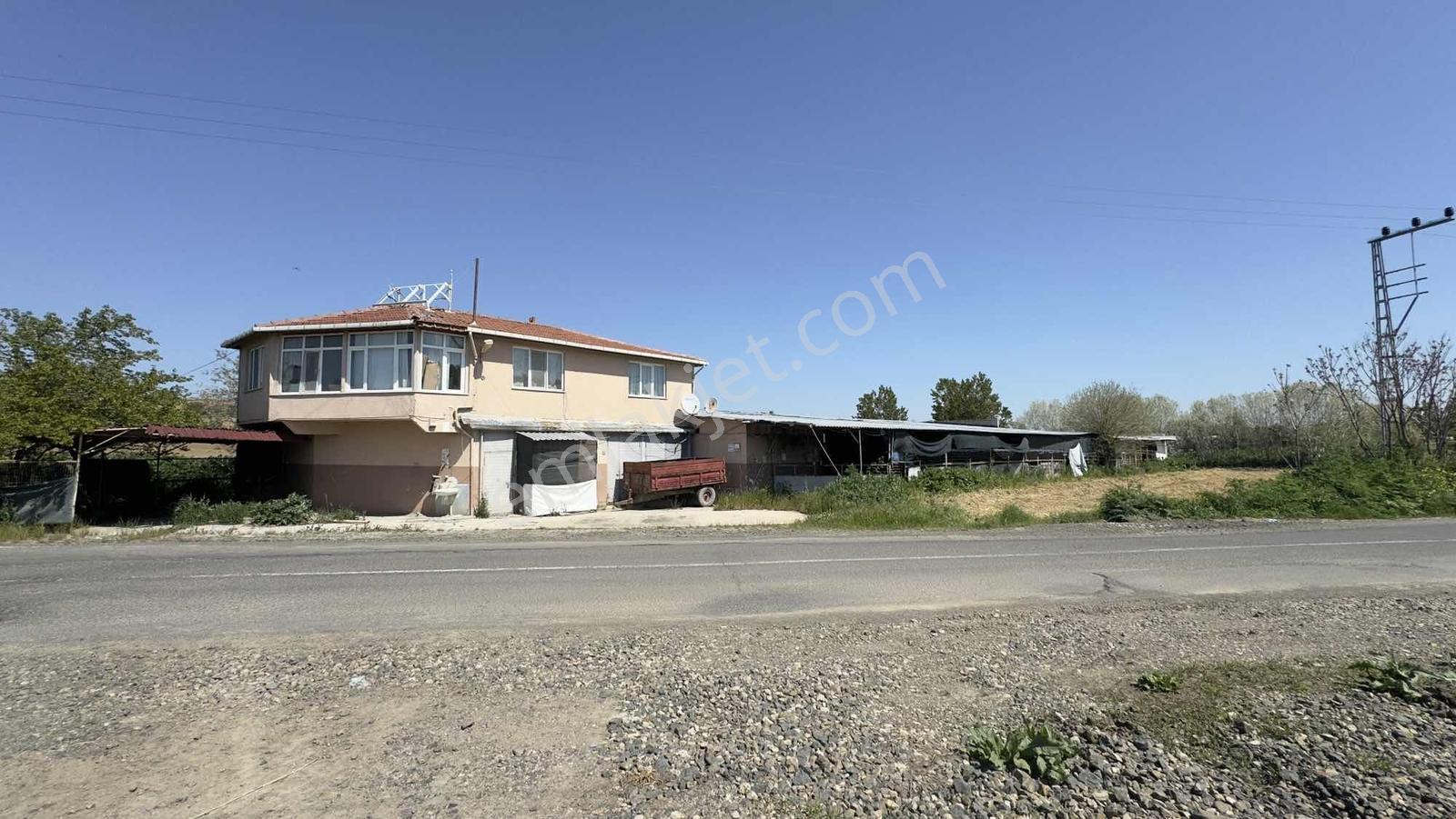 Tekirdağ / Muratlı / Yeşilsırt / Çiftlik Tesisi / Yola Cephe - Görsel 14